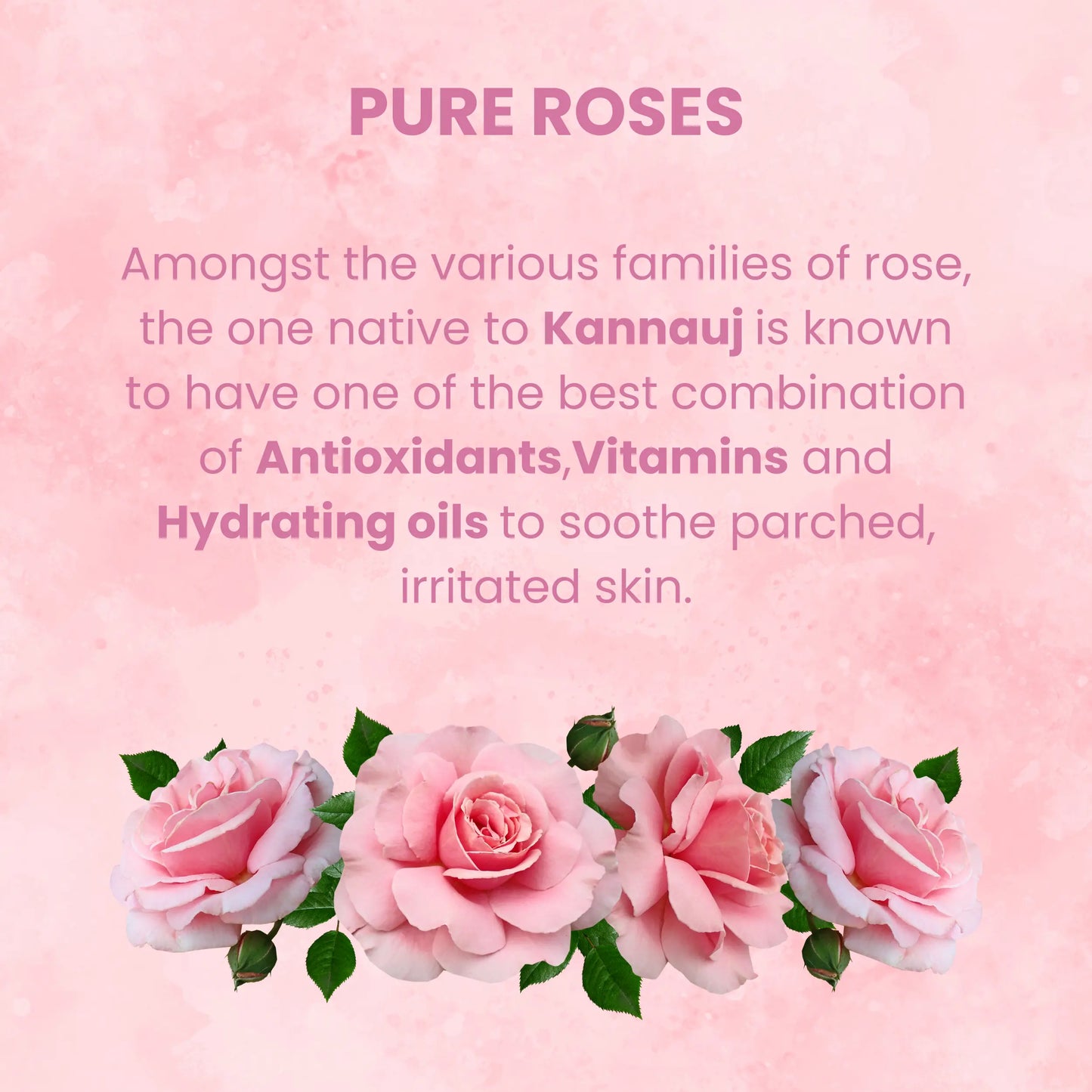AMBANI HEALTH CARE Premium Rose Water I Natural Gulab Jal I for Skin, Face & Hair I Deep Hydration with Deshi Gulaab I Alcohol-Free I Cleanses, Hydrates & Moisturises Skin for Women & Men