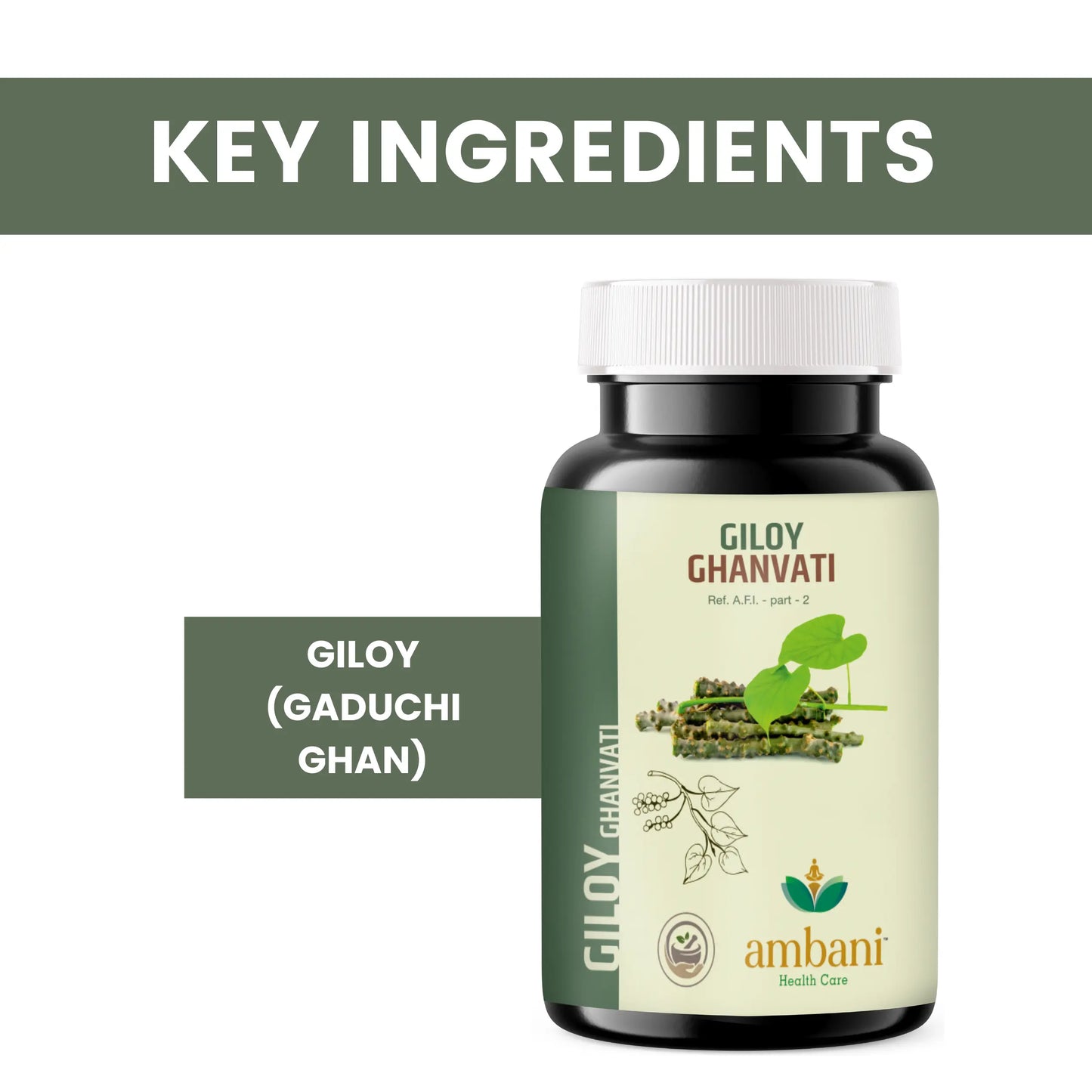 AMBANI HEALTH CARE Giloy Ghanvati Tablet I Natural & Ayurvedic Medicine for Immunity Boosting I Enhances Strength & Stamina I Blood Purification I Improves Digestion I Fights Infection - 60 Tablets