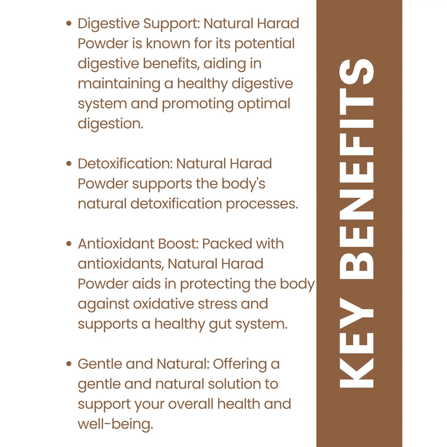 AMBANI HEALTH CARE Harde Churna I Ayurvedic Haritaki Powder I Natural Medicine for Immunity Booster, Relieves Constipation, Regulates Bowel I Useful in Gastric, Acidity, & Digestion Problems – 100 GM