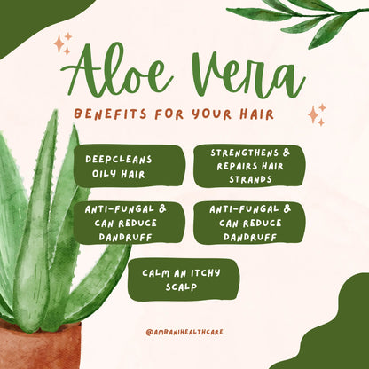 AMBANI HEALTH CARE Pure Aloe Vera Gel I Herbal Multipurpose Beauty Gel I No Parabens I Ideal for Skin, Face, Acne Scars, Hair Care, Moisturizer & Dark Circles I for All Types of Hair and skin (500g)