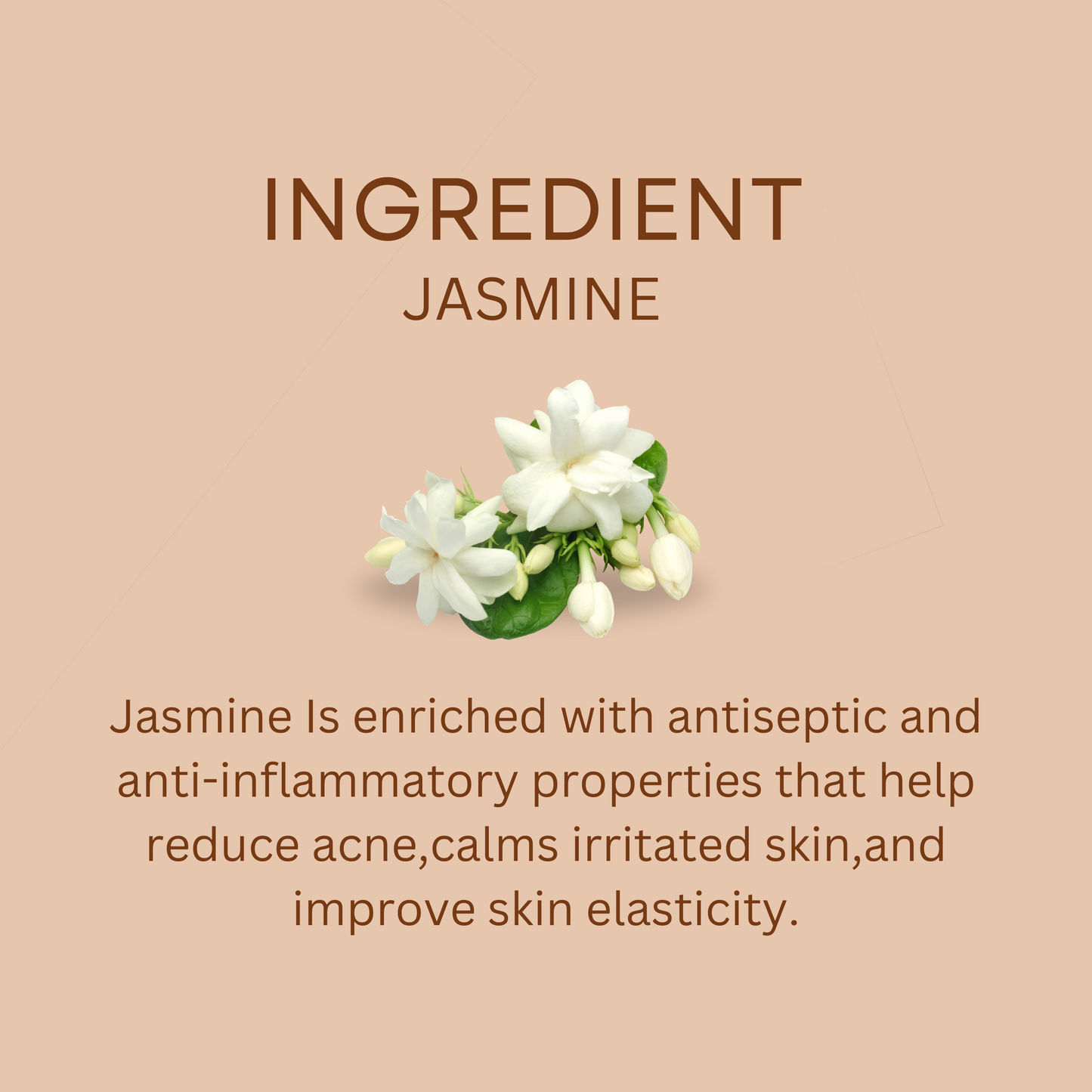 Jasmine & Milk Cream Soap | Gentle Cleansing with Essential Oils | Relaxing & Moisturising | Suitable for All Skin Types | Pack of 5 x 100 g